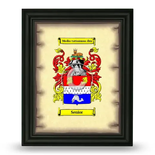 Senior Coat of Arms Framed - Black