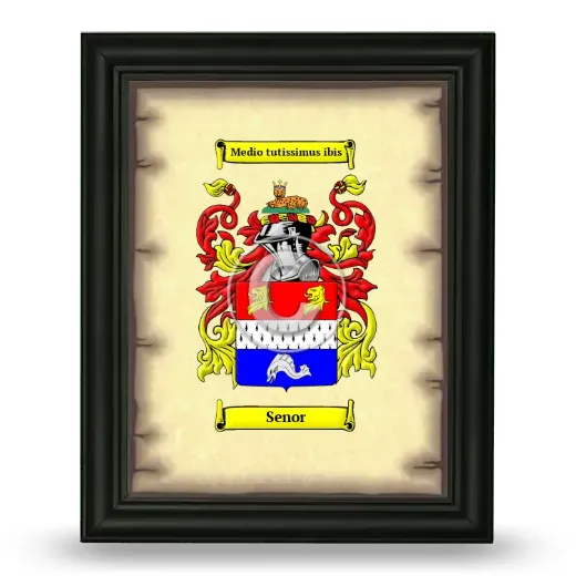 Senor Coat of Arms Framed - Black
