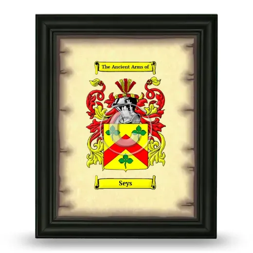 Seys Coat of Arms Framed - Black