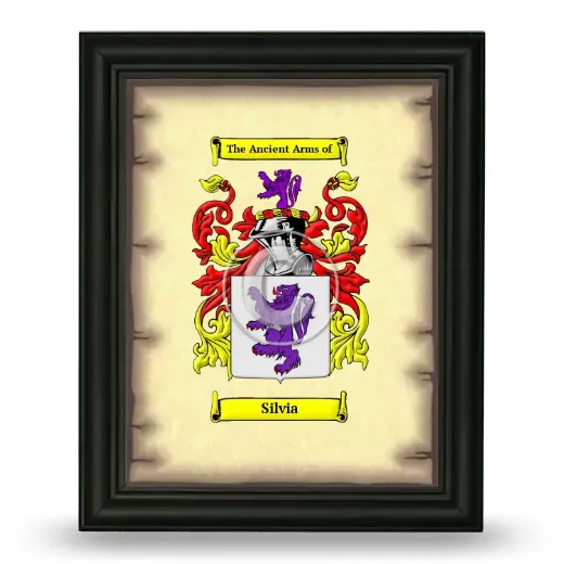 Silvia Coat of Arms Framed - Black