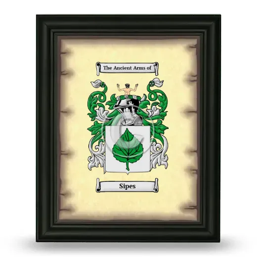 Sipes Coat of Arms Framed - Black
