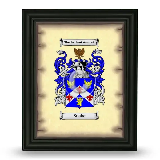 Snake Coat of Arms Framed - Black