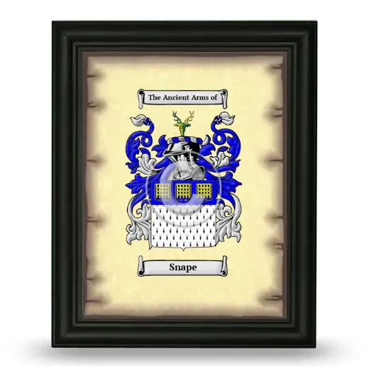 Snape Coat of Arms Framed - Black