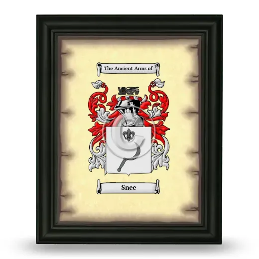 Snee Coat of Arms Framed - Black