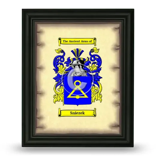 Sniezek Coat of Arms Framed - Black
