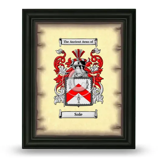 Sole Coat of Arms Framed - Black