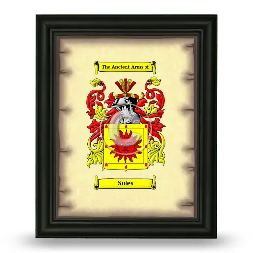 Soles Coat of Arms Framed - Black