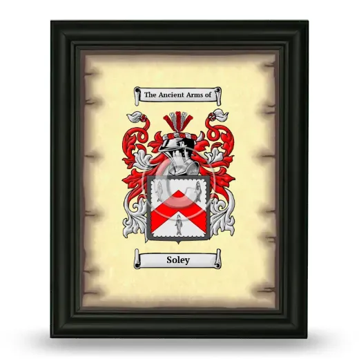 Soley Coat of Arms Framed - Black