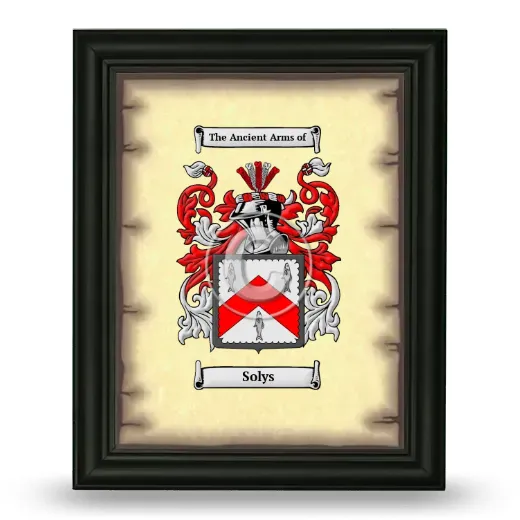 Solys Coat of Arms Framed - Black