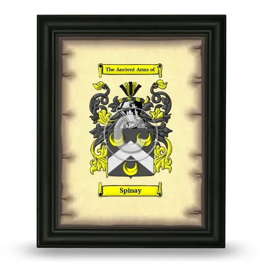 Spinay Coat of Arms Framed - Black