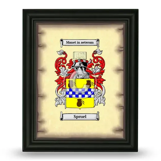 Spruel Coat of Arms Framed - Black