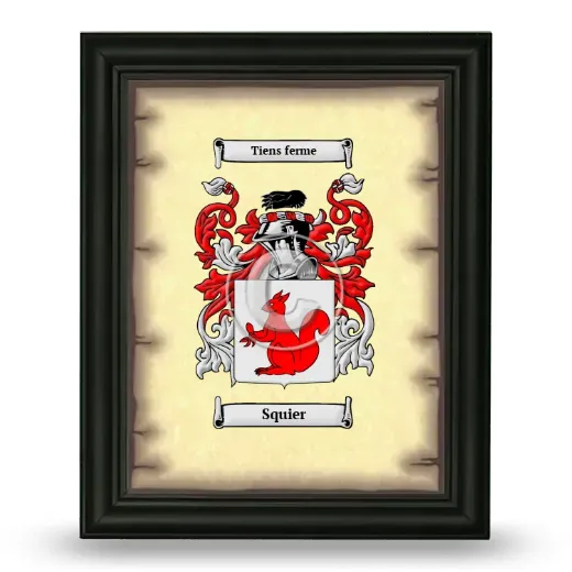 Squier Coat of Arms Framed - Black