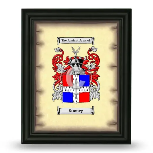 Stamey Coat of Arms Framed - Black