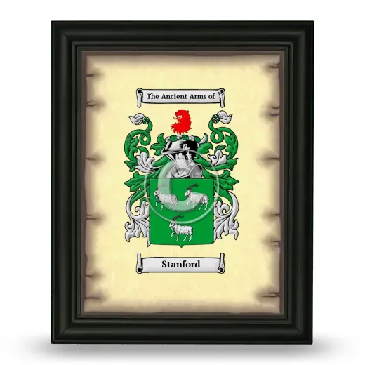Stanford Coat of Arms Framed - Black