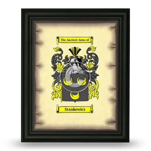 Stankewicz Coat of Arms Framed - Black
