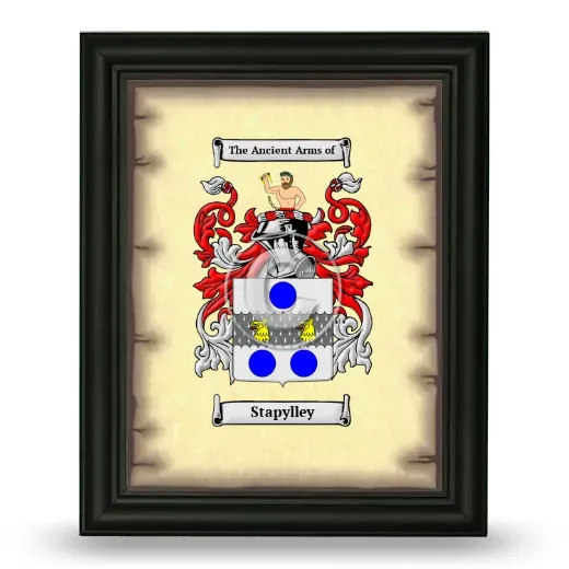 Stapylley Coat of Arms Framed - Black