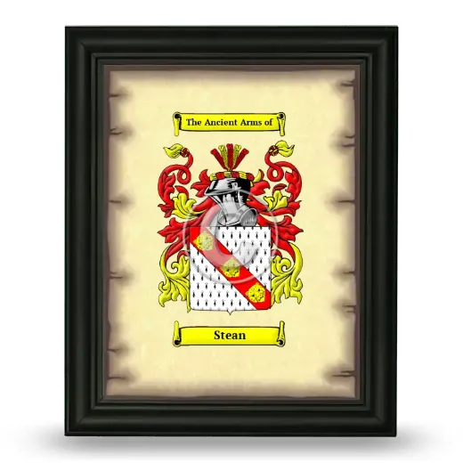 Stean Coat of Arms Framed - Black