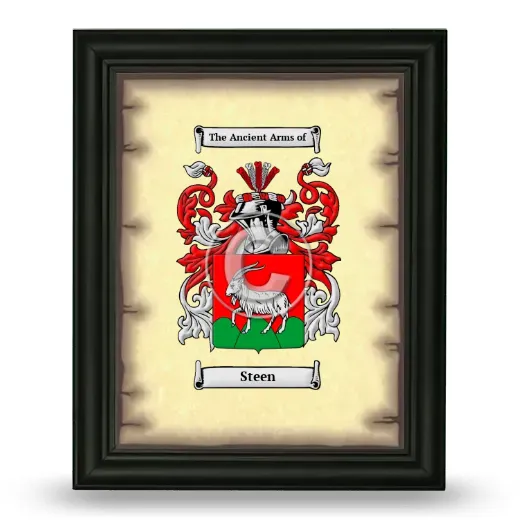Steen Coat of Arms Framed - Black