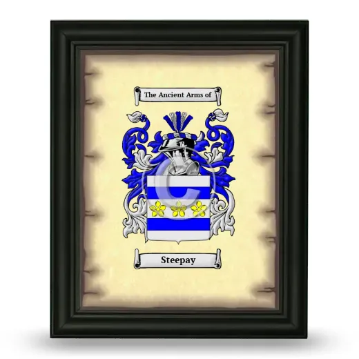 Steepay Coat of Arms Framed - Black