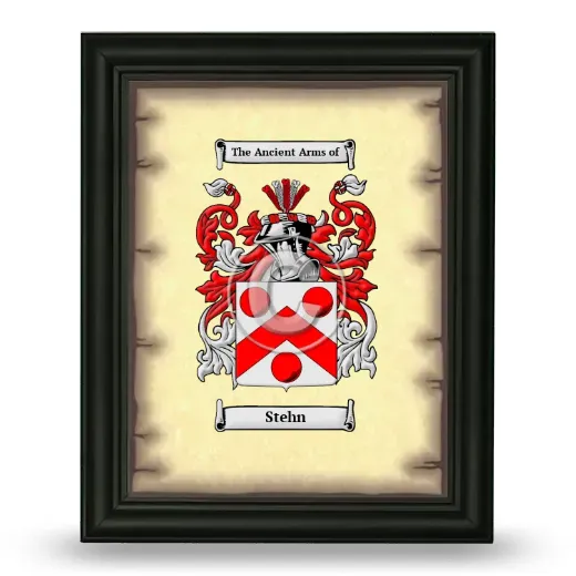 Stehn Coat of Arms Framed - Black