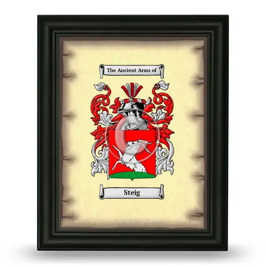 Steig Coat of Arms Framed - Black