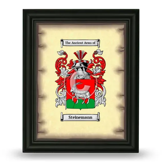 Steinemann Coat of Arms Framed - Black