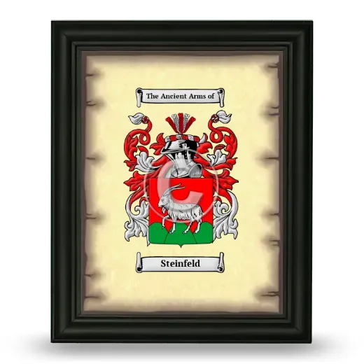 Steinfeld Coat of Arms Framed - Black