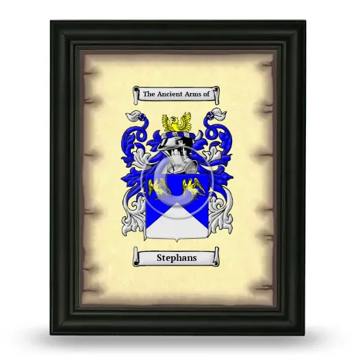 Stephans Coat of Arms Framed - Black