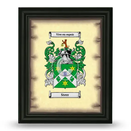 Sterr Coat of Arms Framed - Black