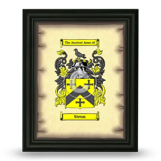 Steun Coat of Arms Framed - Black