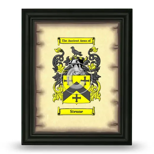 Steune Coat of Arms Framed - Black