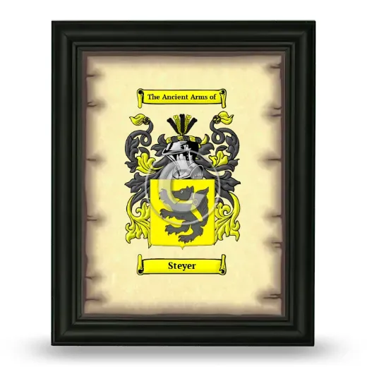 Steyer Coat of Arms Framed - Black
