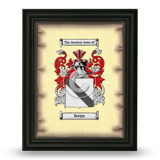 Steyn Coat of Arms Framed - Black