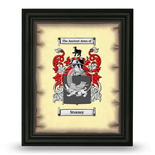 Stormy Coat of Arms Framed - Black