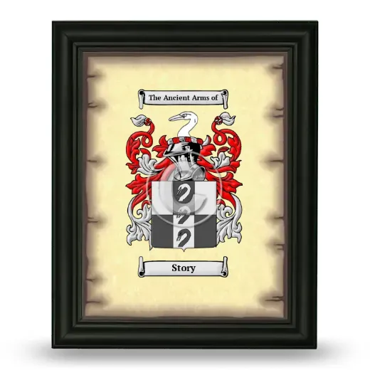 Story Coat of Arms Framed - Black