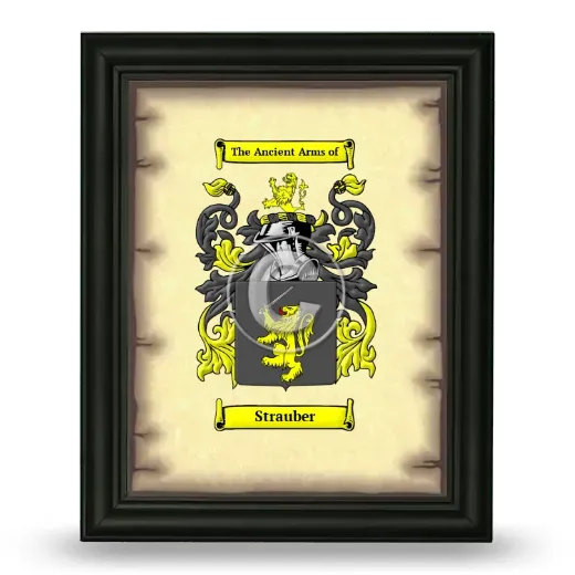 Strauber Coat of Arms Framed - Black
