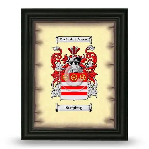 Stripling Coat of Arms Framed - Black