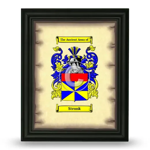 Strunk Coat of Arms Framed - Black