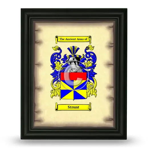 Strunt Coat of Arms Framed - Black