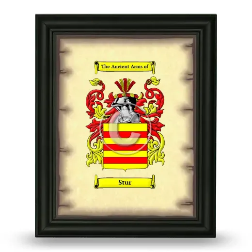 Stur Coat of Arms Framed - Black