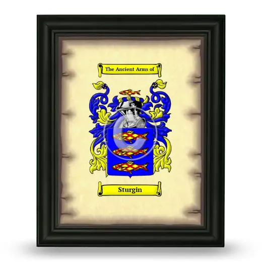 Sturgin Coat of Arms Framed - Black