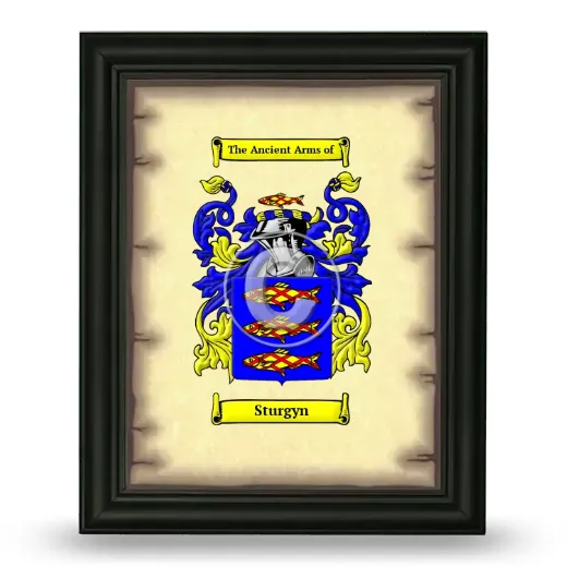 Sturgyn Coat of Arms Framed - Black