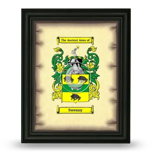 Sweany Coat of Arms Framed - Black