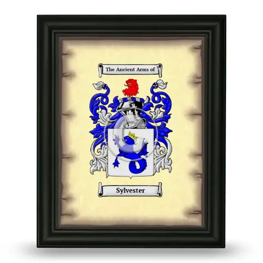Sylvester Coat of Arms Framed - Black
