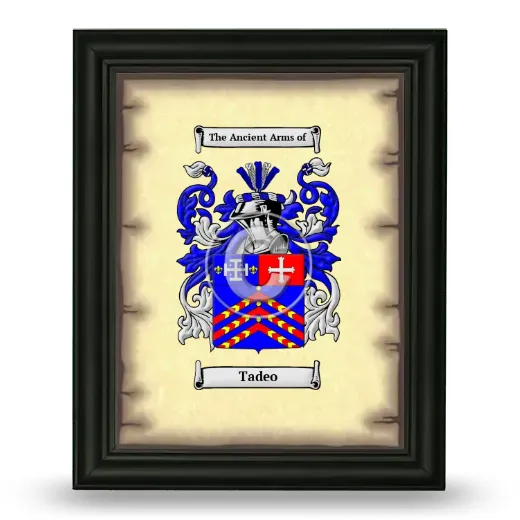 Tadeo Coat of Arms Framed - Black