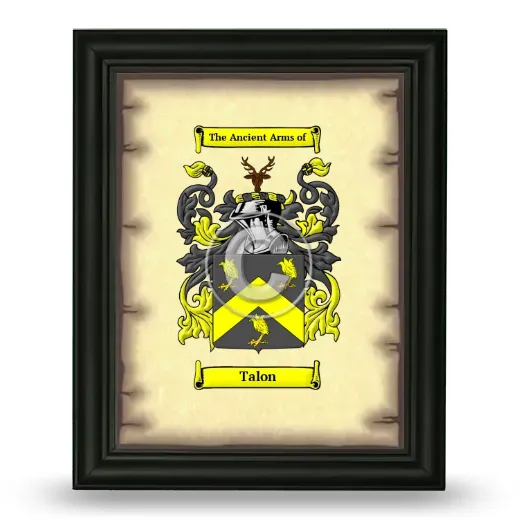 Talon Coat of Arms Framed - Black