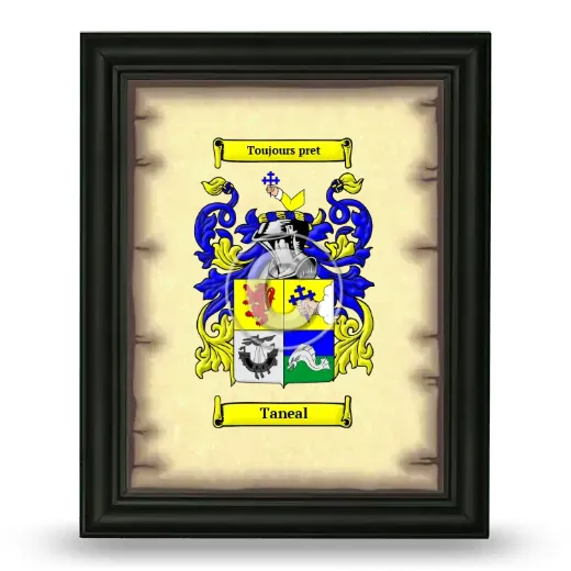 Taneal Coat of Arms Framed - Black