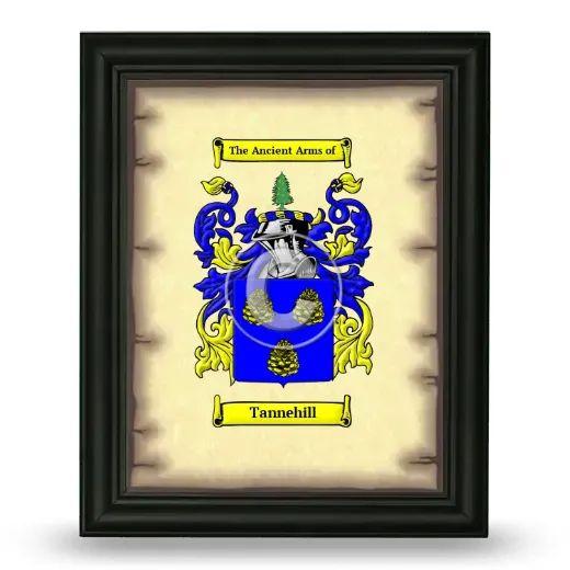 Tannehill Coat of Arms Framed - Black