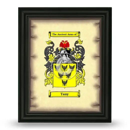 Tany Coat of Arms Framed - Black