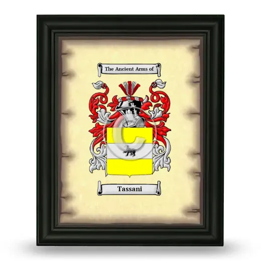 Tassani Coat of Arms Framed - Black